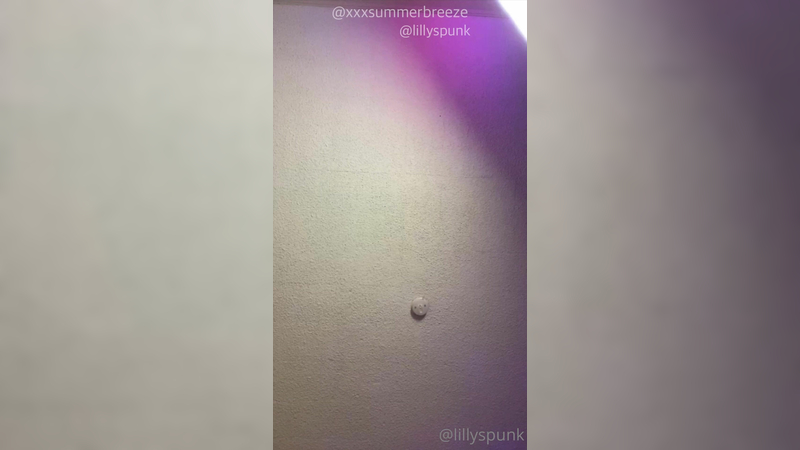 Lilly Spunk OnlyFans Leaks Videos PimpBunny